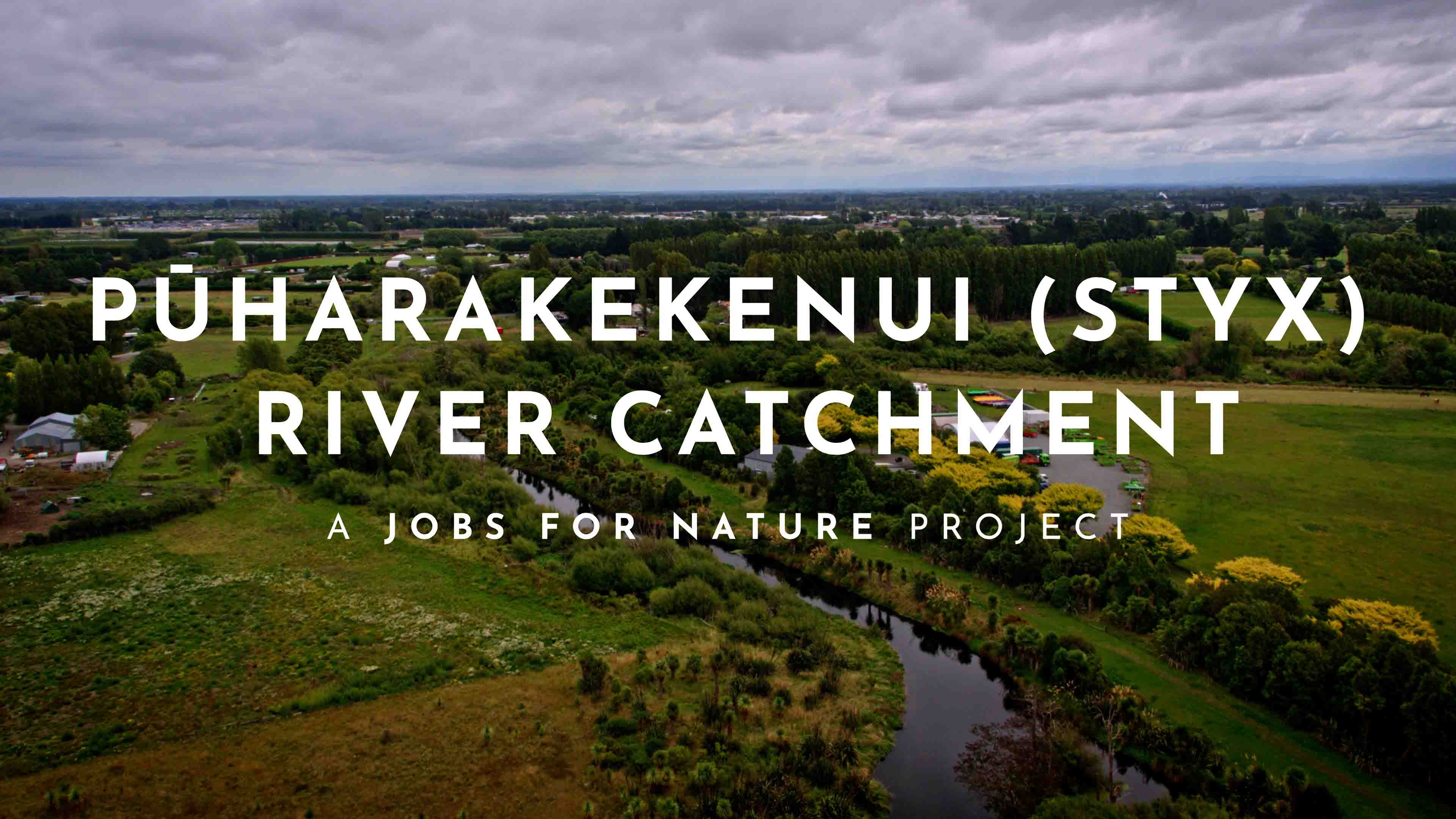 Urban waterway restoration well underway in Christchurch thanks to Jobs for Nature