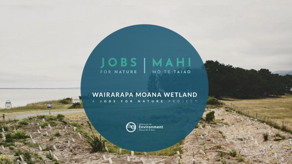 Wairarapa Moana Wetlands Jobs for Nature Thumbnail