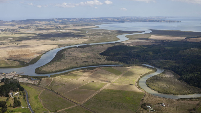 $100 million in Jobs for Nature funding for remediating Kaipara Moana, our largest harbour